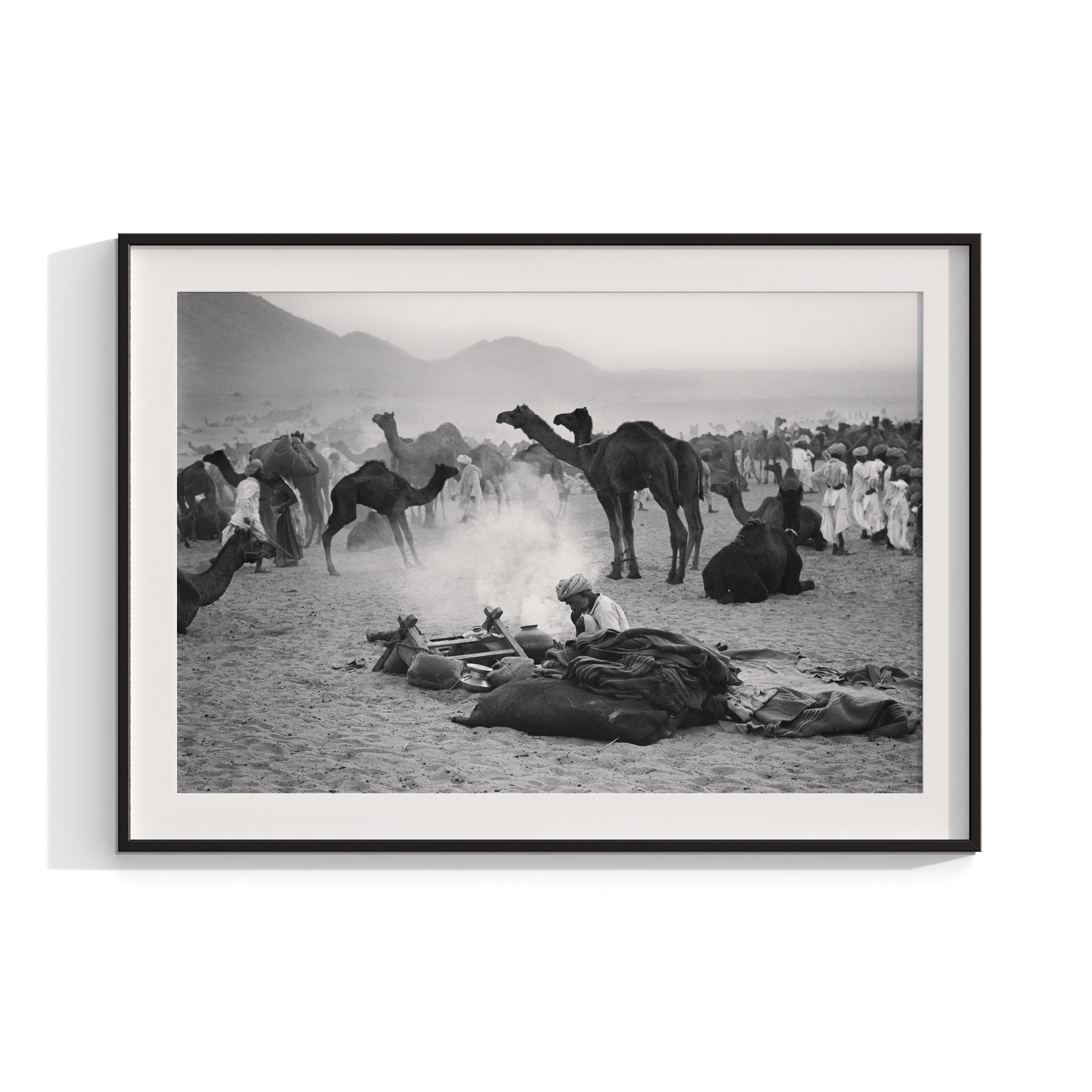 Camels - North India (1978)