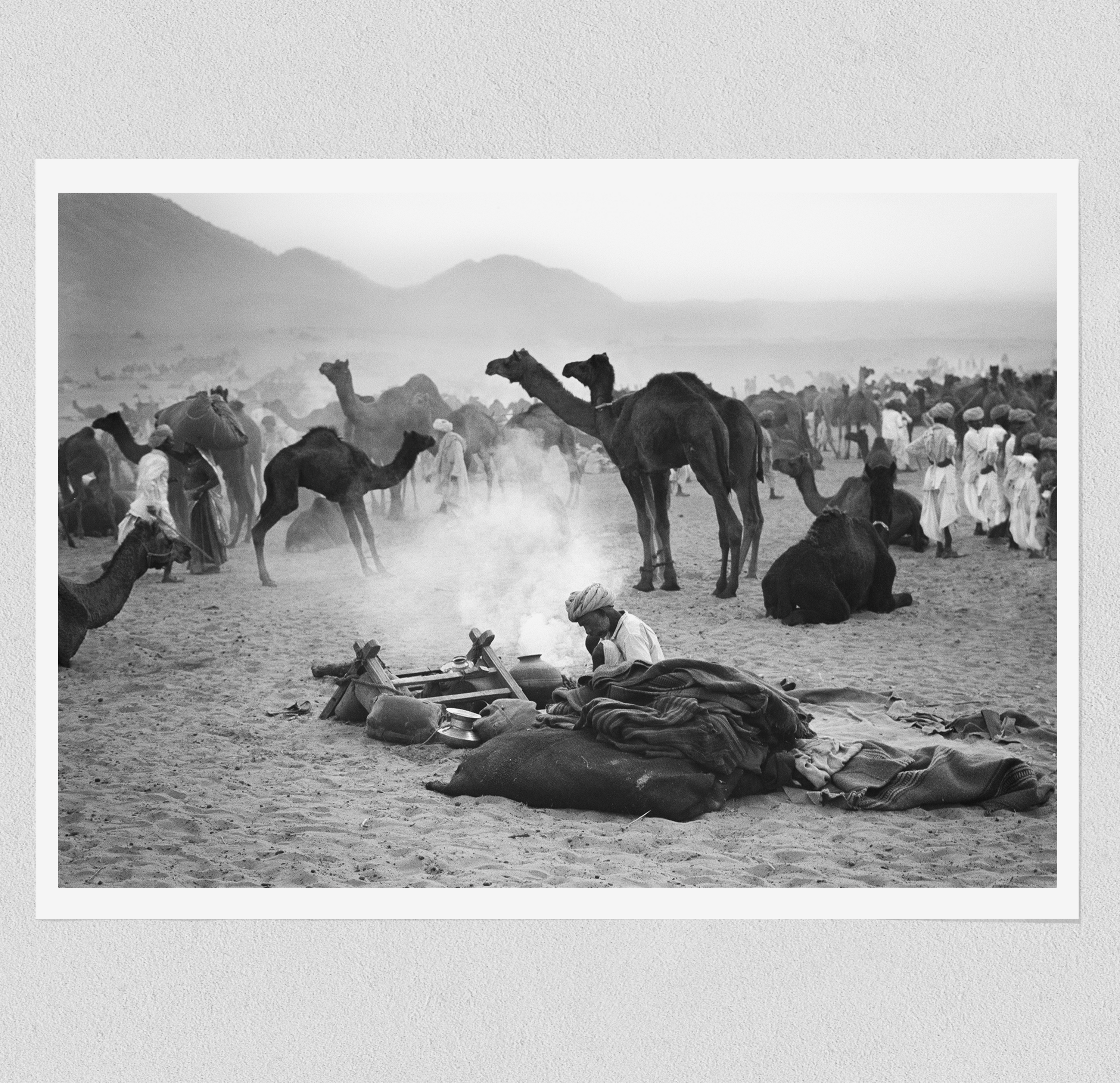 Camels - North India (1978)