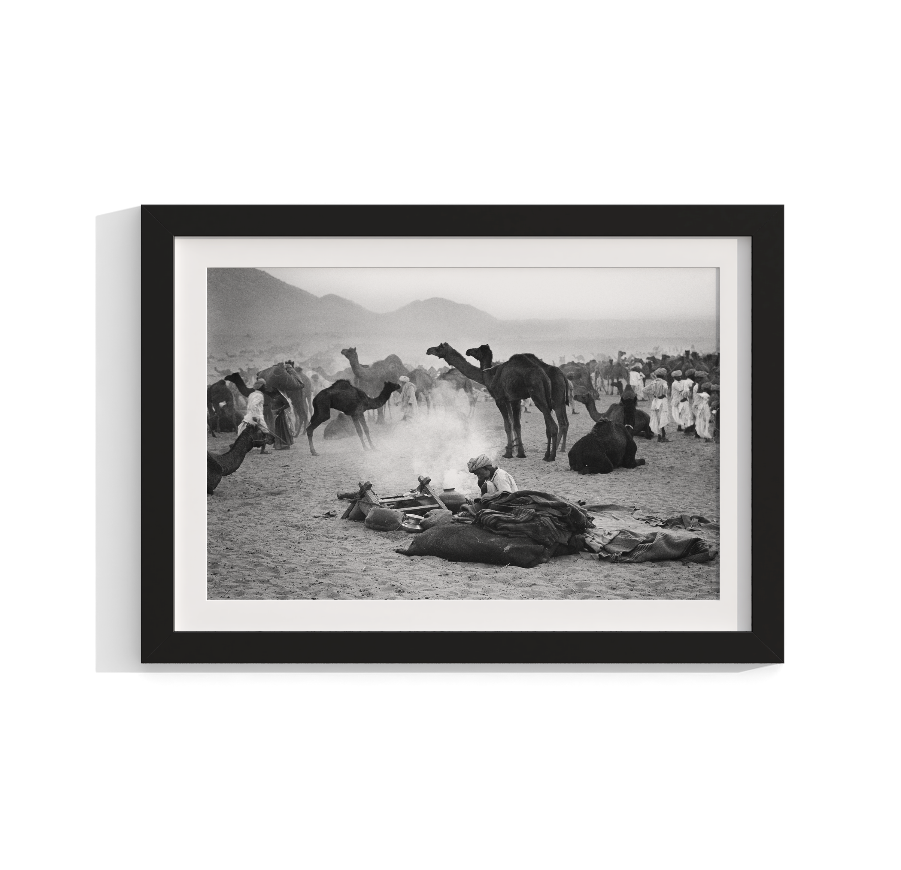 Camels - North India (1978)