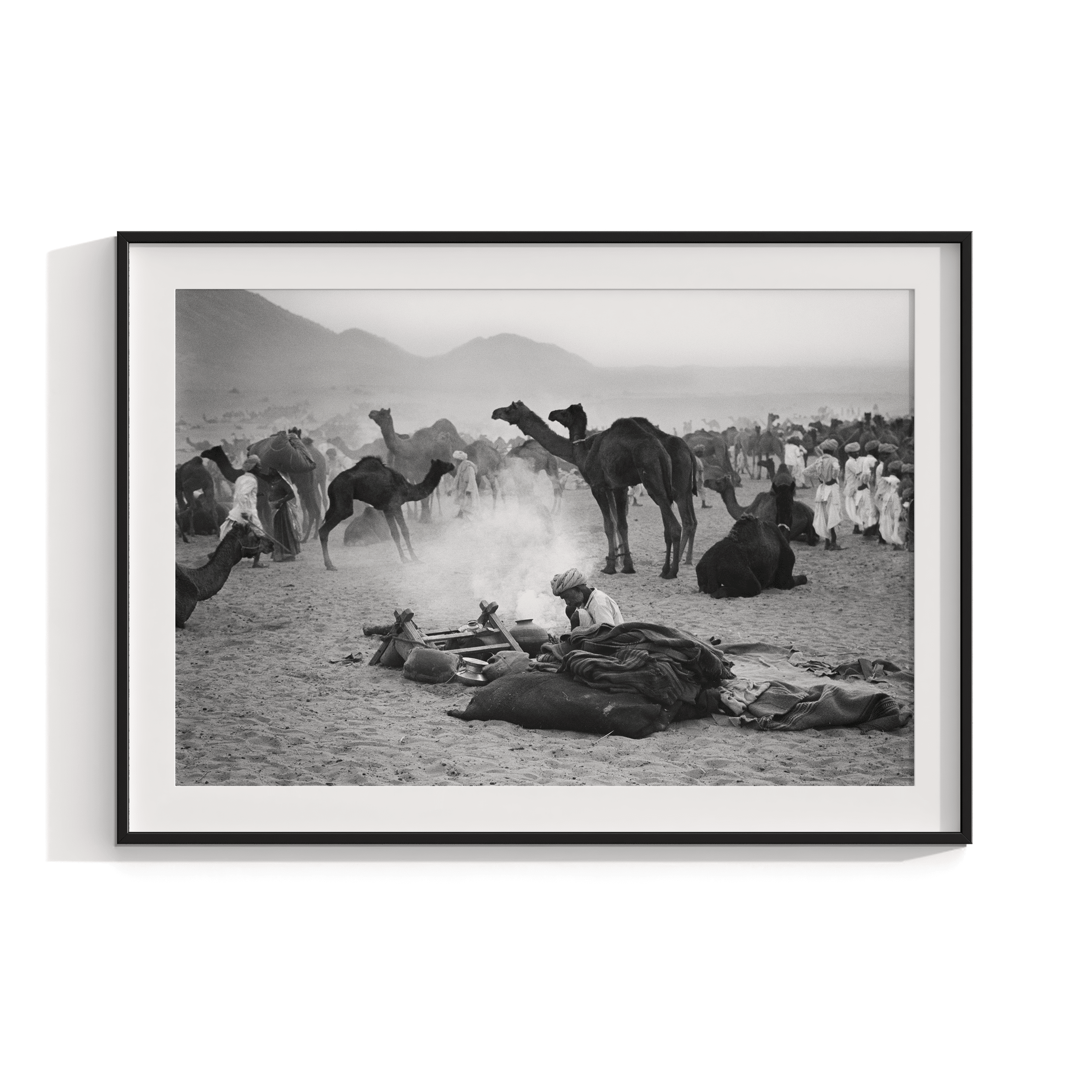 Camels - North India 1978 Photograph