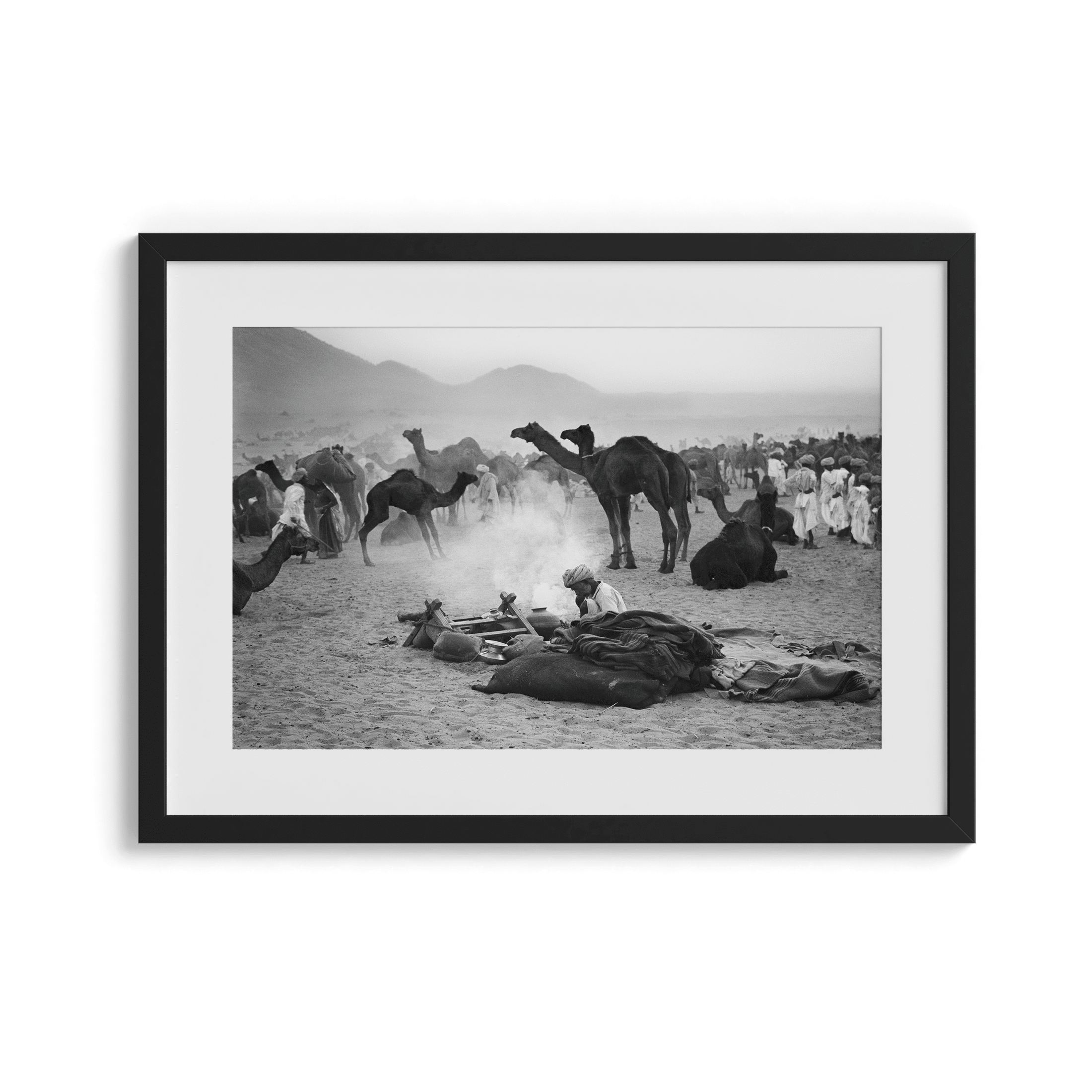 Camels - North India 1978 Photograph