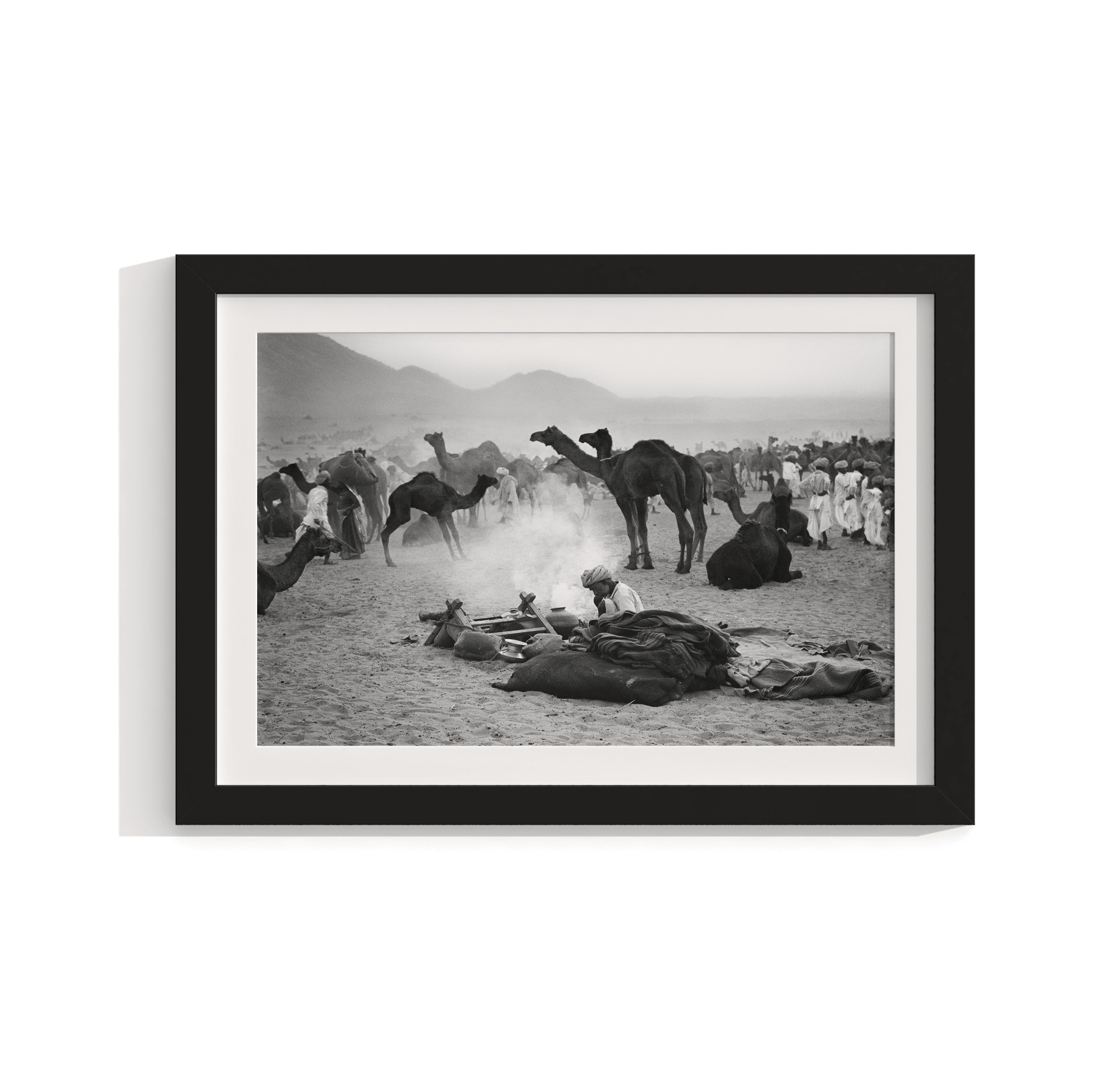 Camels - North India 1978 Photograph