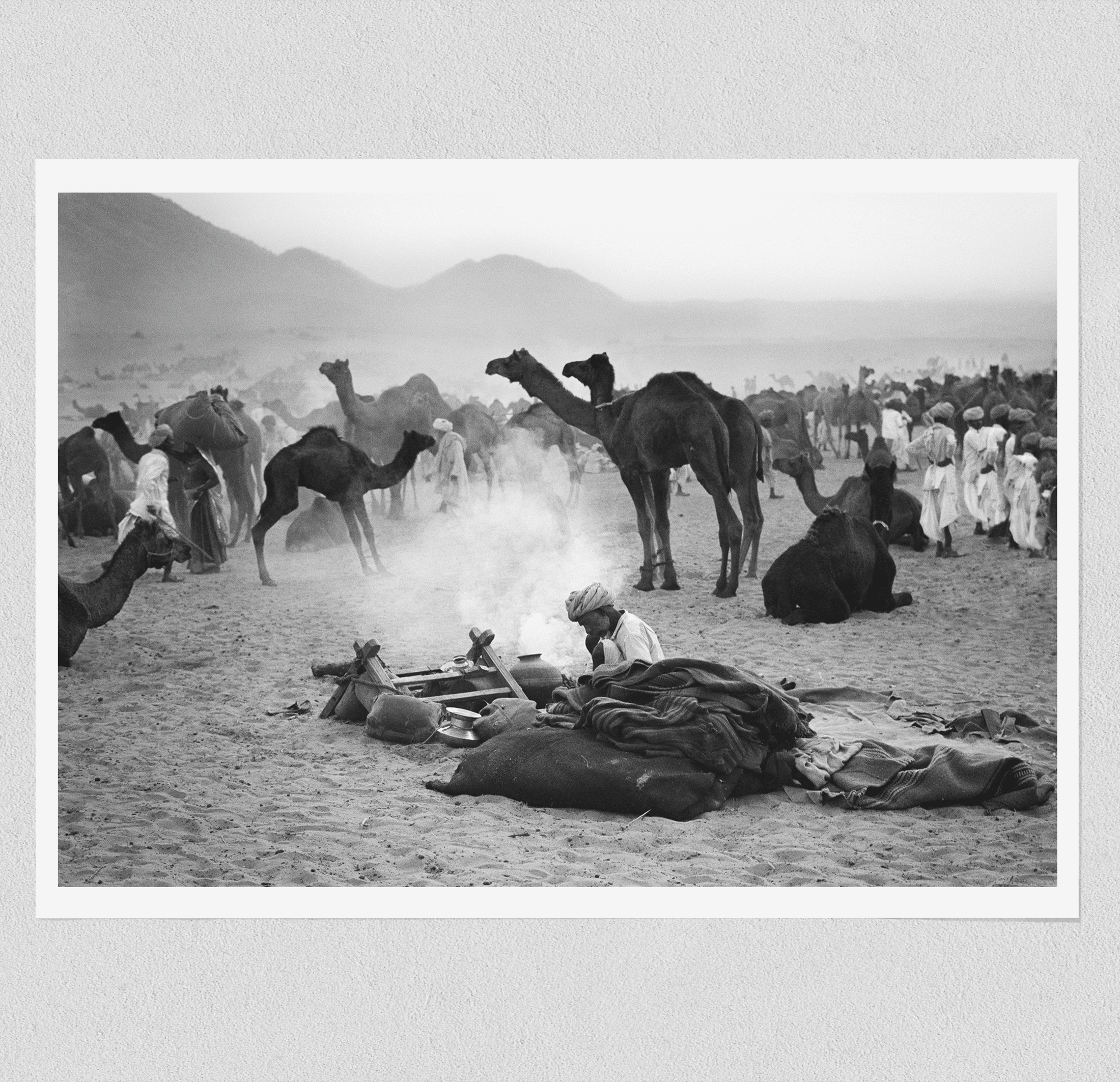 Camels - North India 1978 Photograph