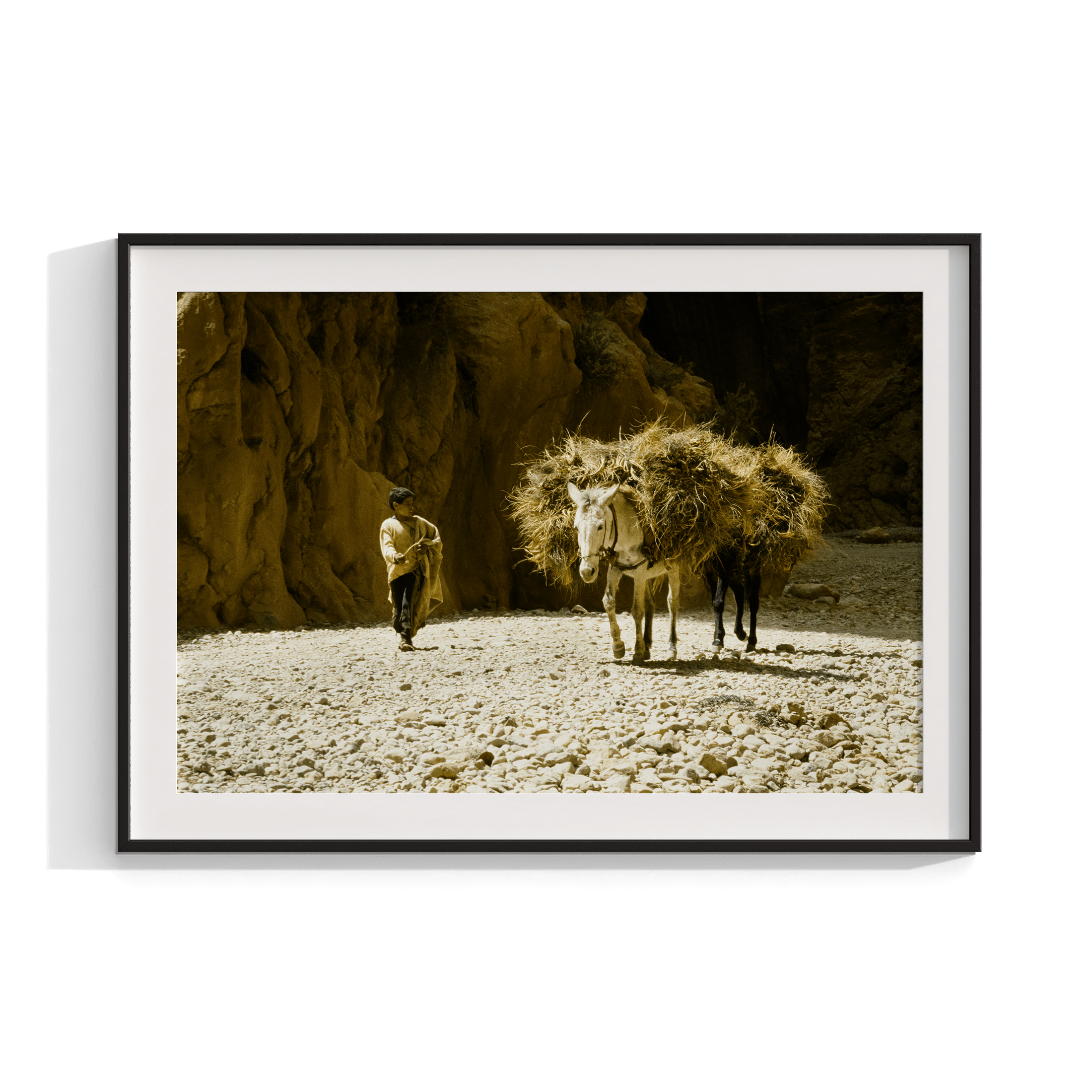 Donkey and His Boy - North Africa 1978 Photograph