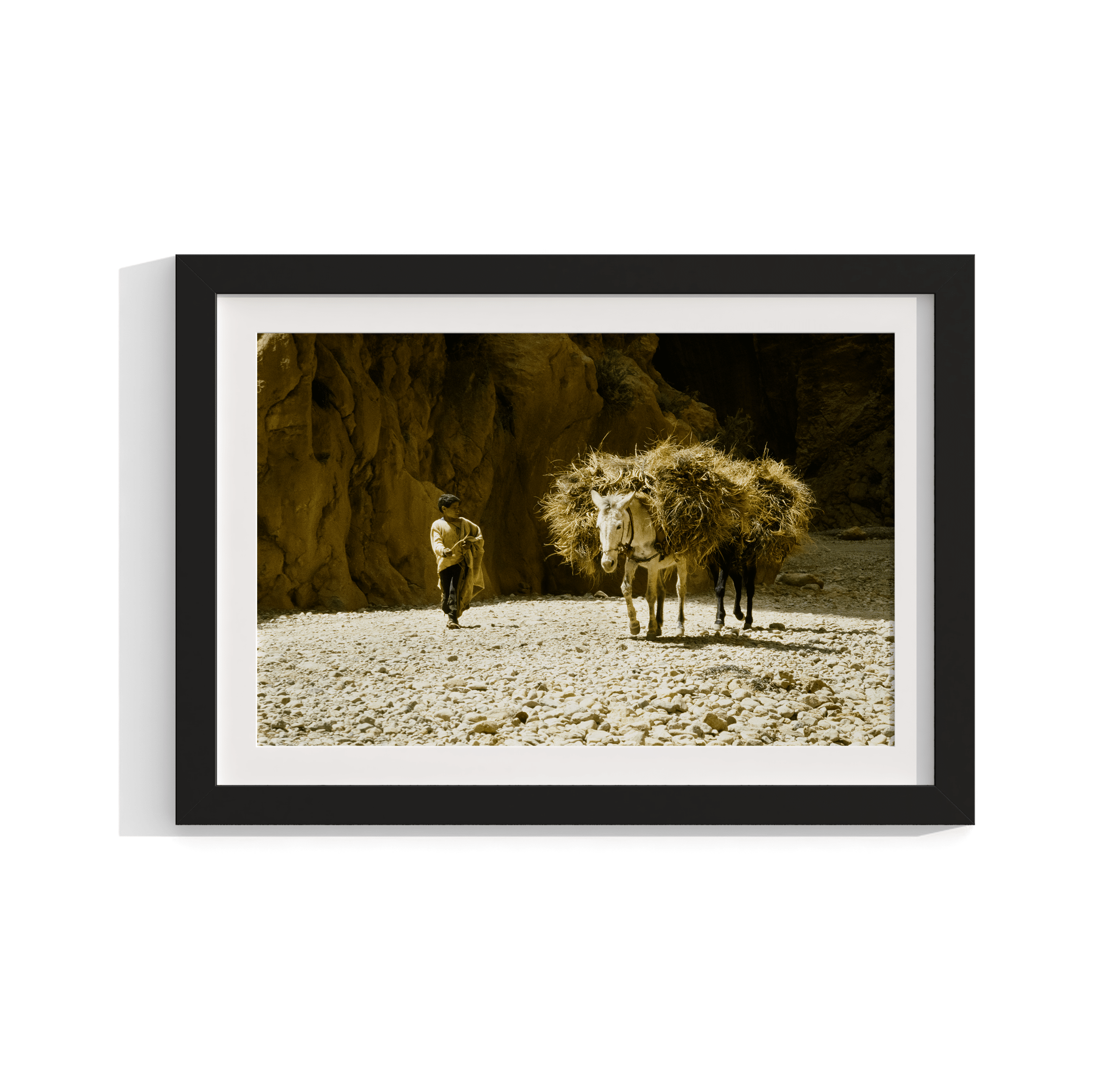 Donkey and His Boy - North Africa 1978 Photograph