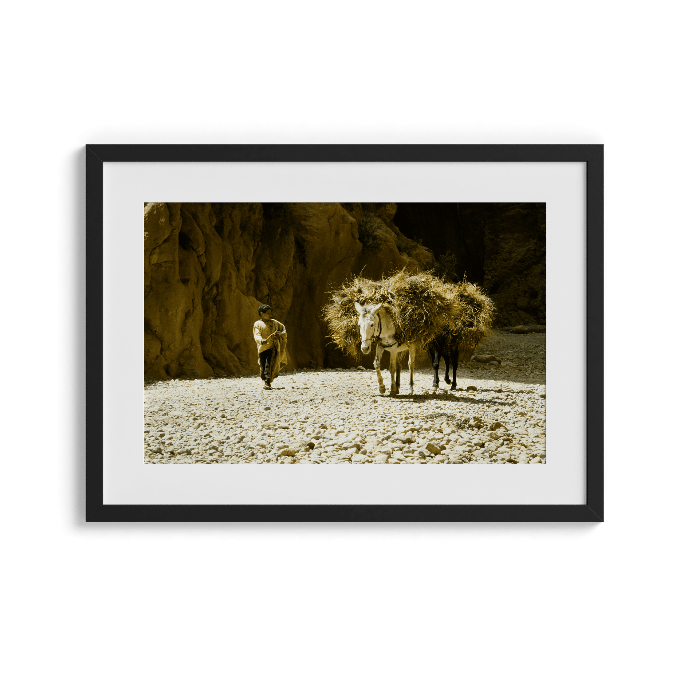 Donkey and His Boy - North Africa 1978 Photograph