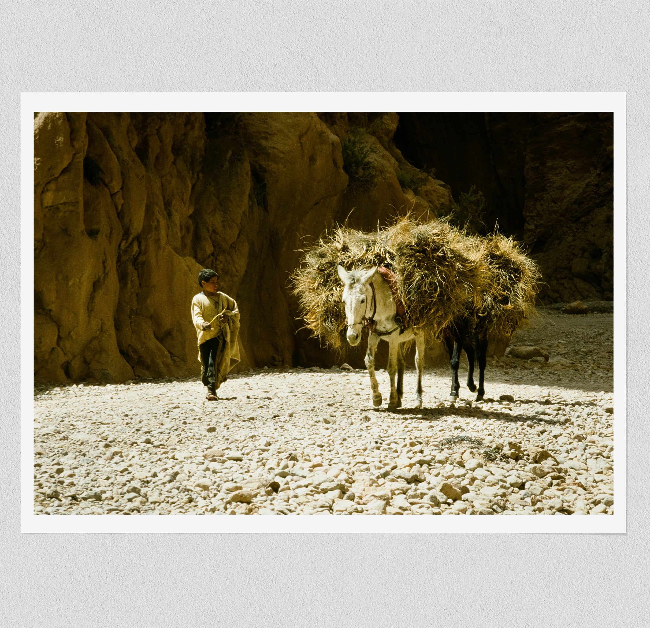Donkey and His Boy - North Africa 1978 Photograph