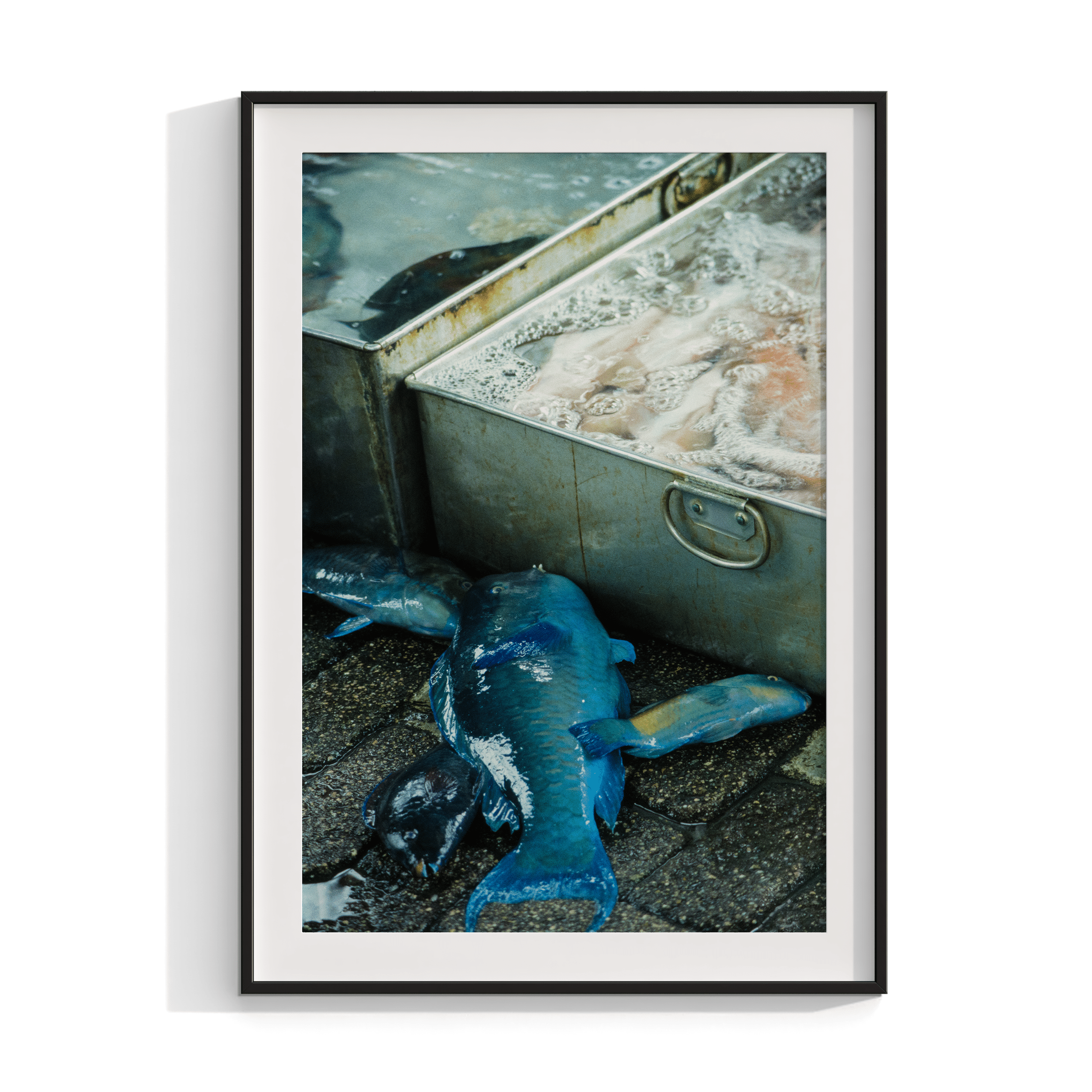 Fish Market - Japan 1982 Photograph