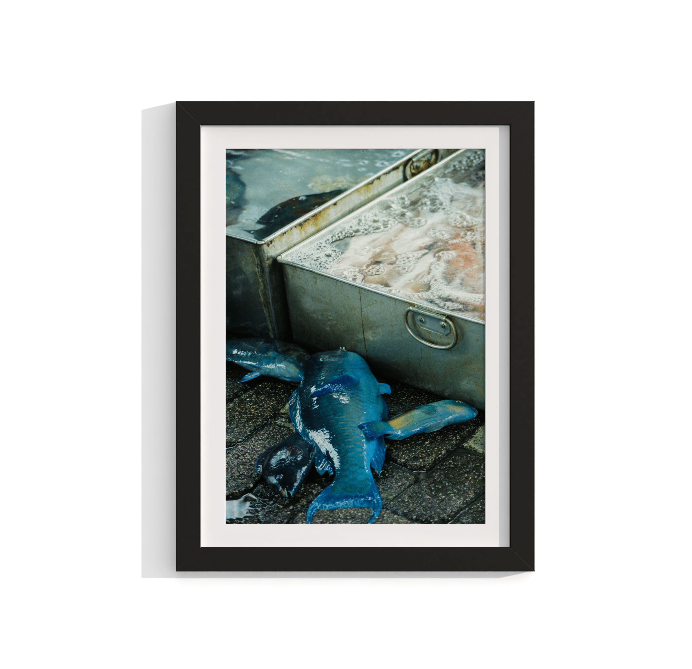 Fish Market - Japan 1982 Photograph