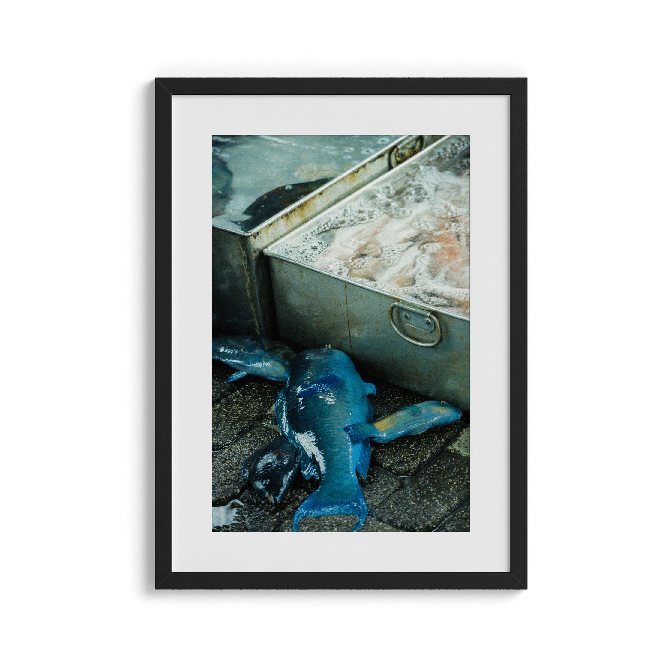 Fish Market - Japan 1982 Photograph