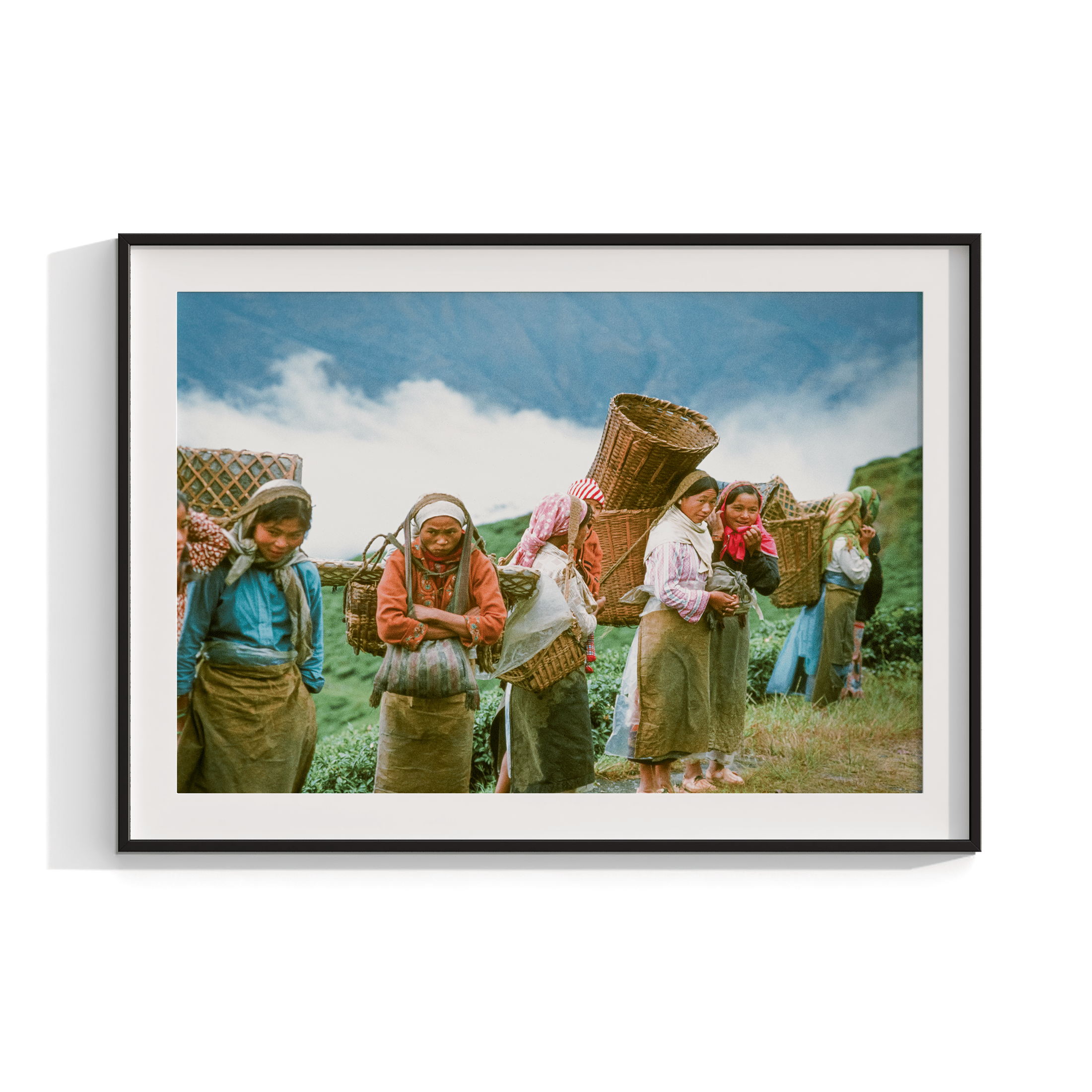 Tea Pickers - India 1981 Photograph