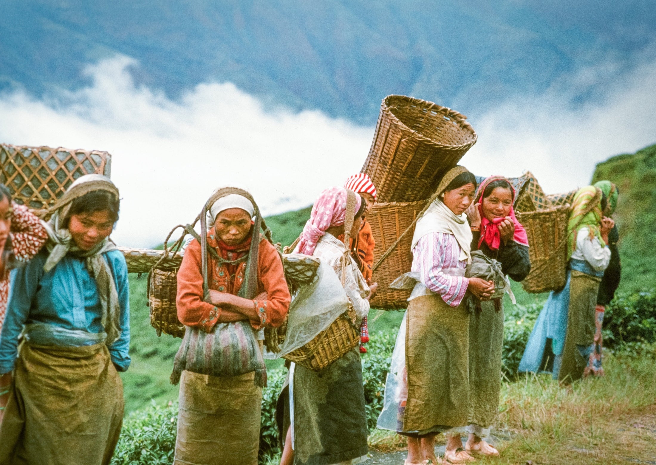 Tea Pickers - India 1981 Photograph