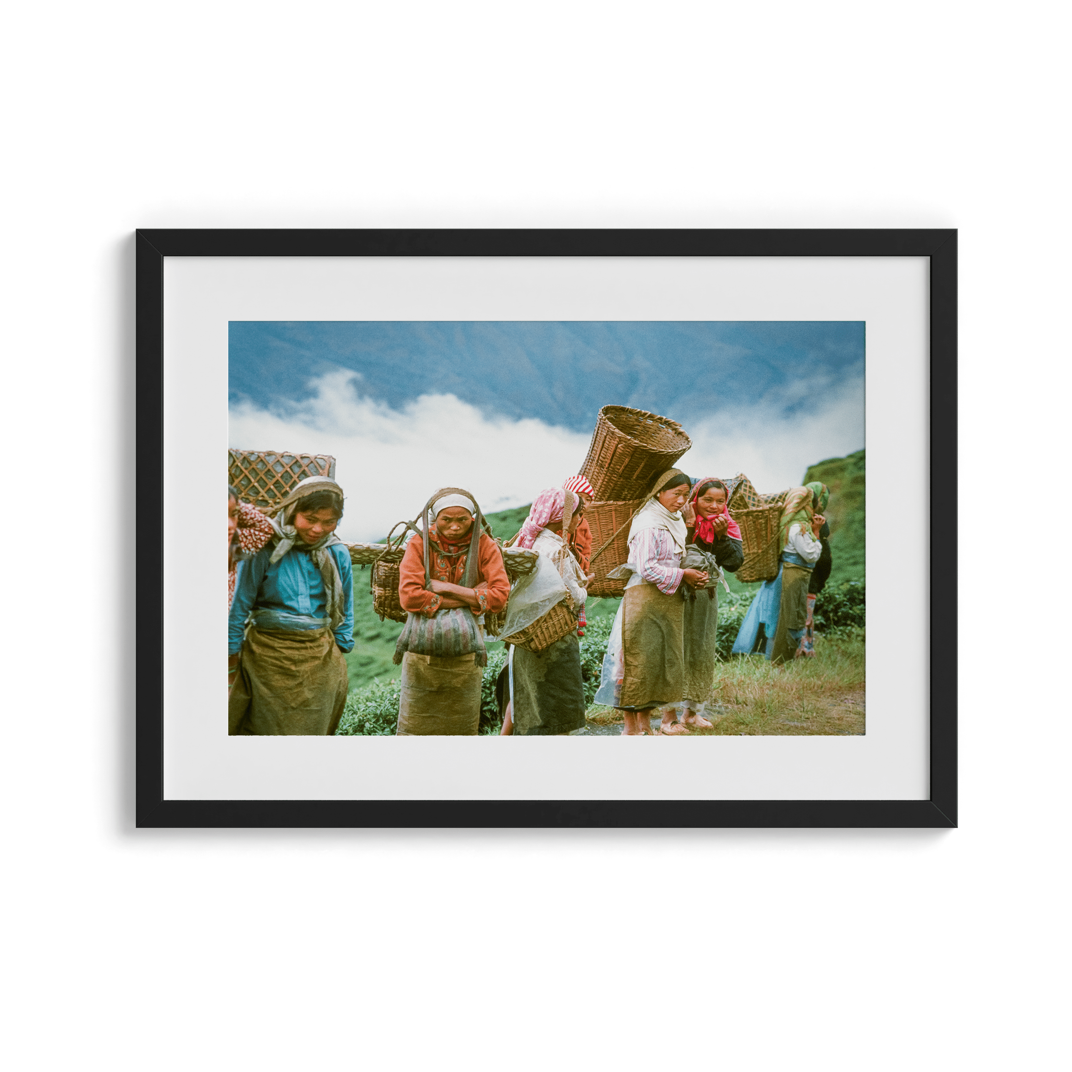 Tea Pickers - India 1981 Photograph