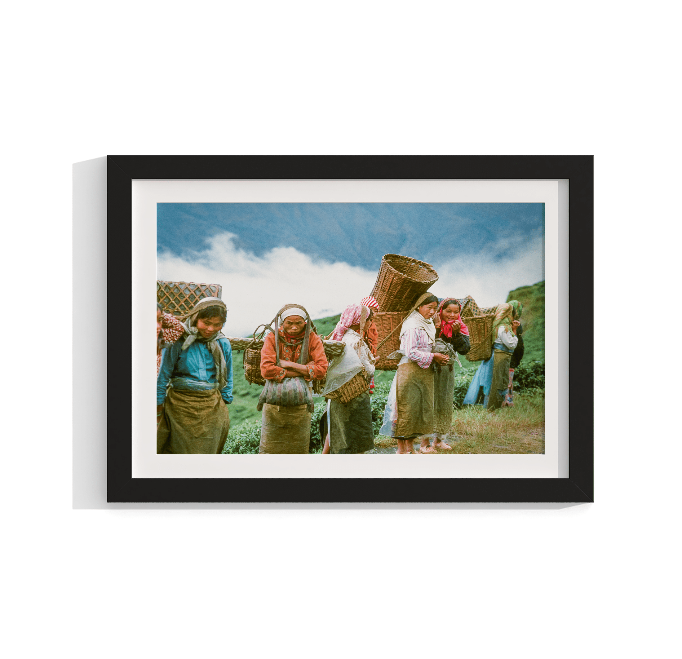 Tea Pickers - India 1981 Photograph