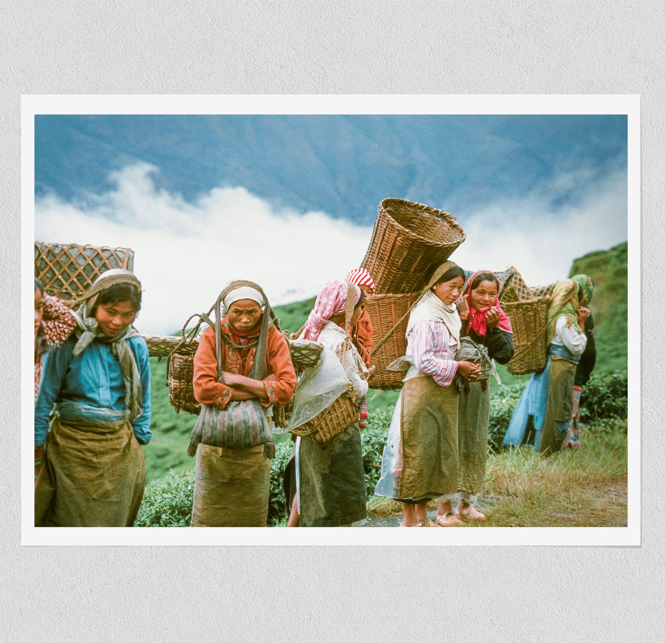 Tea Pickers - India 1981 Photograph