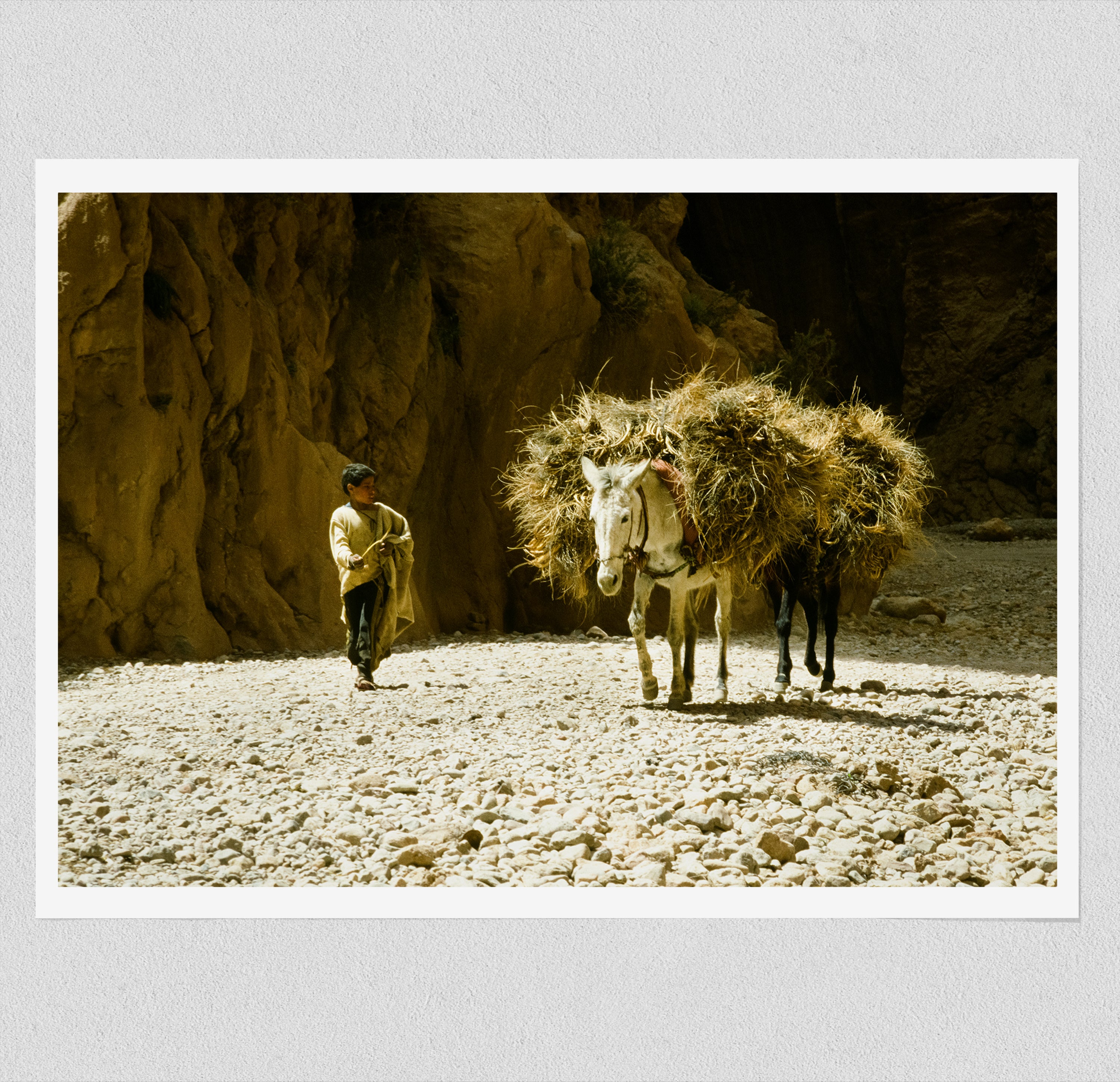 Donkey and His Boy - North Africa (1978)