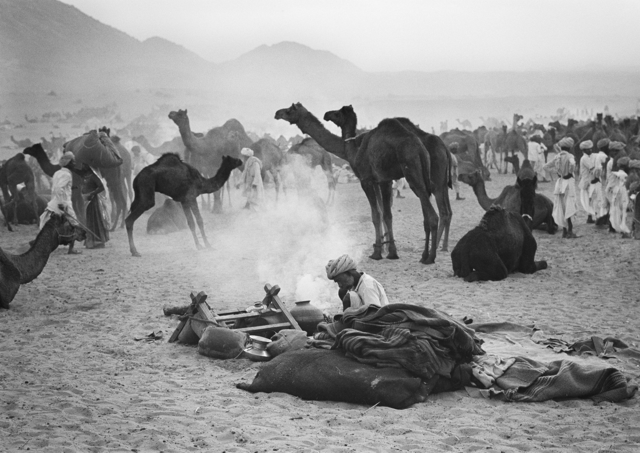 Camels - North India 1978 Photograph